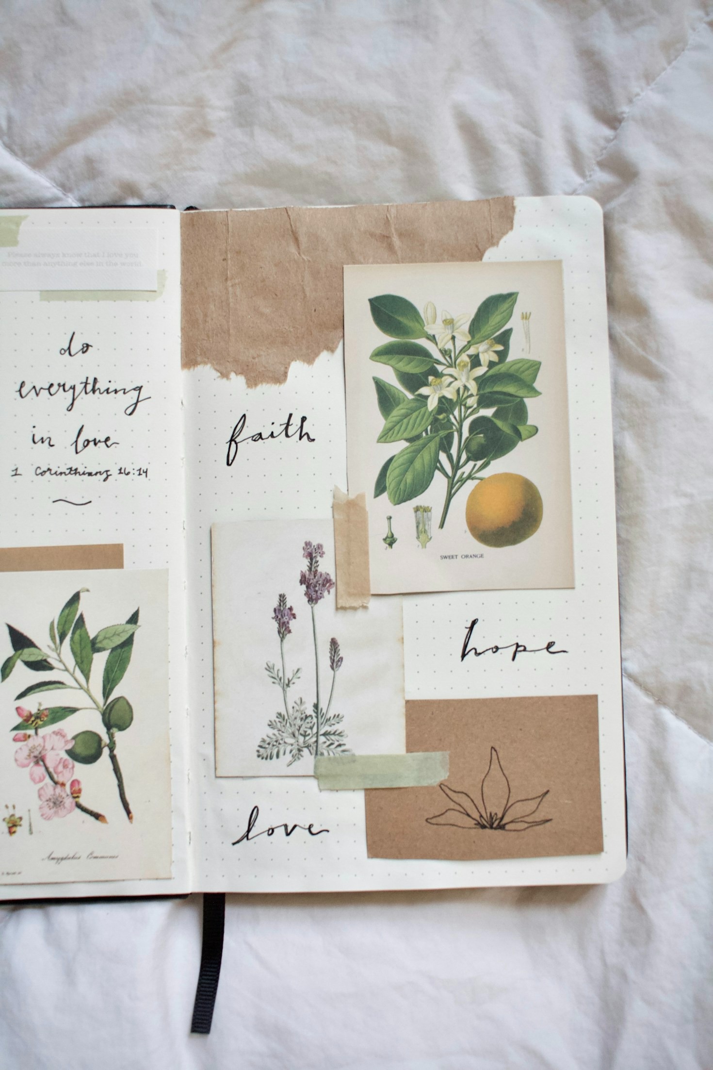 Reflections on the Journey of Self-Discovery